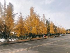 -四川大学(江安校区)