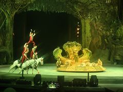 -广州长隆国际大马戏