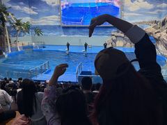 -福州罗源湾海洋世界旅游区