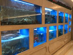 水产区-皇朝尊会(龙之梦大酒店)