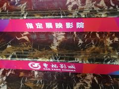 -曹杨影城(曹杨店)