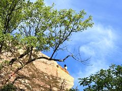 -秦岭终南山世界地质公园翠华山景区