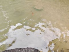 -广州神农草堂中医药博物馆
