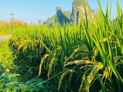 -大新明仕山庄