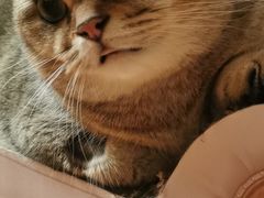 -欧奕国际动物医院