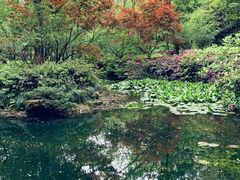 -杭州半山国家森林公园