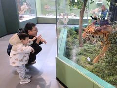 -国家自然博物馆