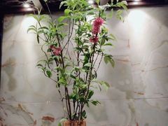 -南堂館川菜文化餐厅(天府店)