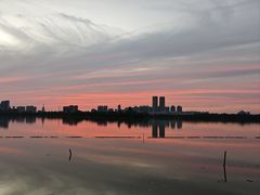 -金银湖国家城市湿地公园