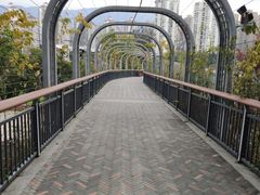 -金鸡山公园
