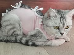 -宠颐生中康贝怡动物医院