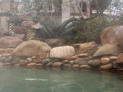 -苏州湾·王焰温泉
