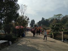 -巢湖姥山岛