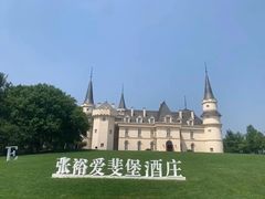 -北京张裕爱斐堡酒庄