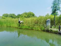 -溱湖国家湿地公园