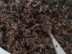 -万县面馆(高笋塘店)