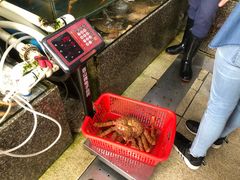 -蚝专家(北滘店)