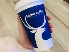 -瑞幸咖啡(蚌埠凤凰国际店)