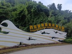 -西双版纳原始森林公园