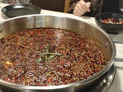 -味之绝热血美蛙鱼火锅(中坝店)