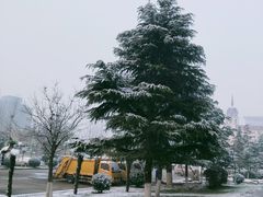 -郑州西亚斯学院-体育学院