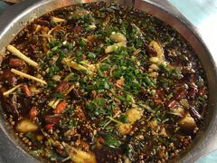 -葡萄园鱼庄(新津店)