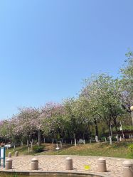 -番禺儿童公园