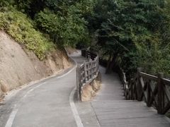-广州市流溪河国家森林公园