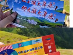 -仰天湖大草原