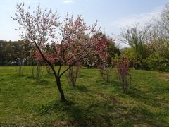 -蜀冈西峰生态公园