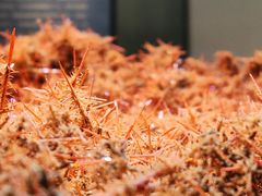 -湖南省地质博物馆