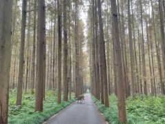 -上海怡沁园度假酒店