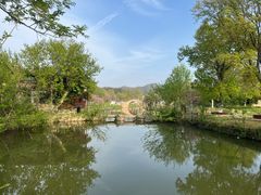 -黄陂区野村谷景区