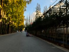 -前小桔亲子创意农场·草莓采摘·露营烧烤