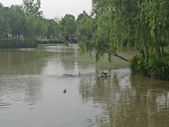 -西安浐灞国家湿地公园