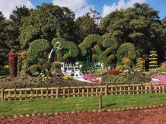 -上海共青森林公园