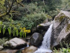 -苍山感通索道