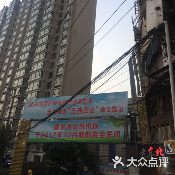 曹家渡花鸟市场图片 - 第19张