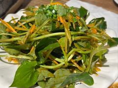 -老号尤兔头(幸福店)