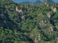 -大岭沟猕猴桃谷风景区