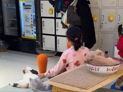 -平行世界·猫咖(首经贸店)
