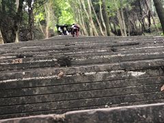 -窦圌山风景区