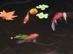 -莹珠阁·私房菜