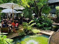 -Fern Forest Cafe