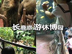 -史努比缤纷世界