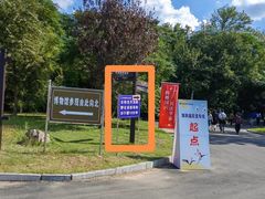 -盐城丹顶鹤湿地生态旅游区