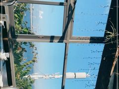 -蠔爺王志德生蚝馆(金沙湾店)