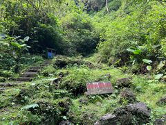 -海口火山口国家地质公园