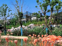 -武汉动物园