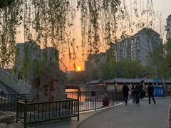 -皇家御河游(紫御湾码头)